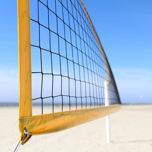 Многофункциональные спортивные – обзор и цена Badminton Netting